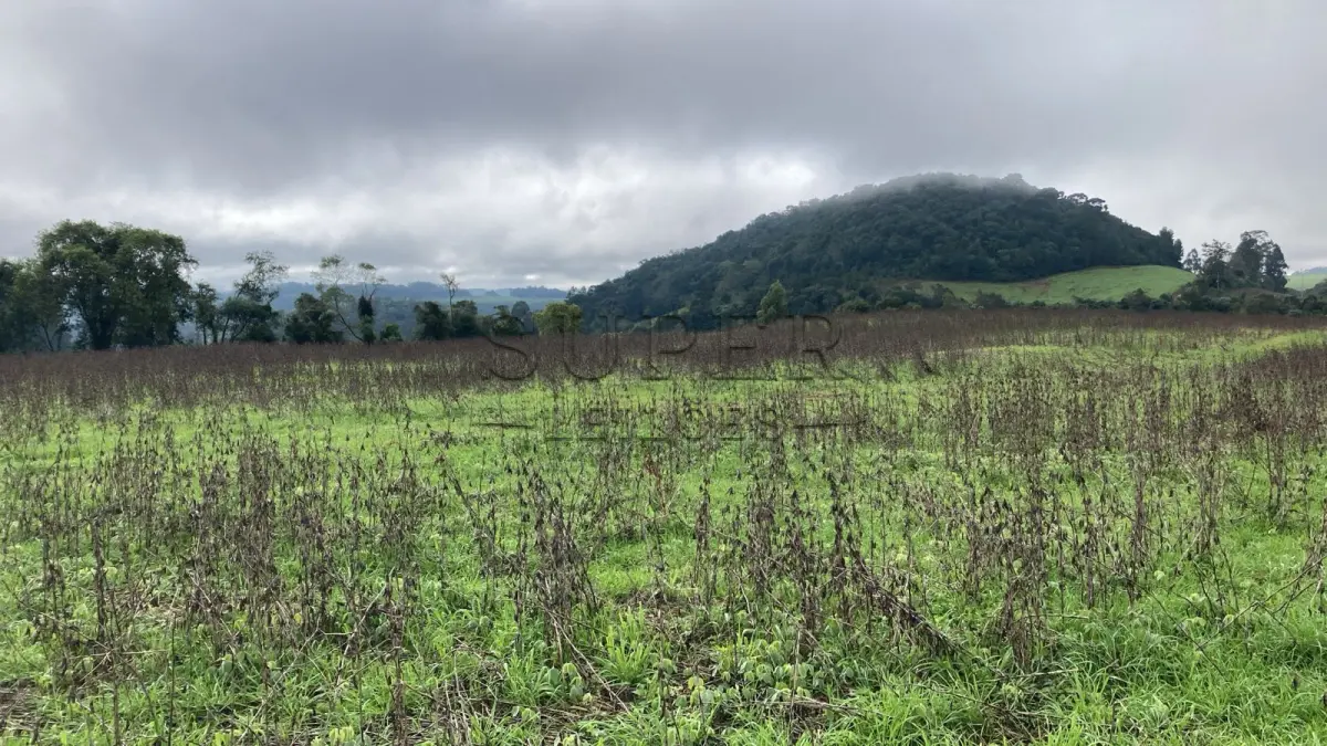 LOTE 002 - UMA FRAÇÃO DE TERRAS COM ÁREA DE 7,5 HECTARES