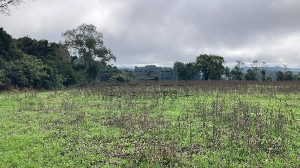 LOTE 002 - UMA FRAÇÃO DE TERRAS COM ÁREA DE 7,5 HECTARES