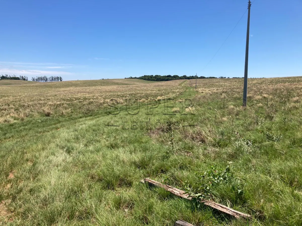 LOTE 001 - ÁREA DE  7ha66a, dentro de área maior no 5ª distrito, Capão da Laranjeira, São Francisco de Assis/RSa
