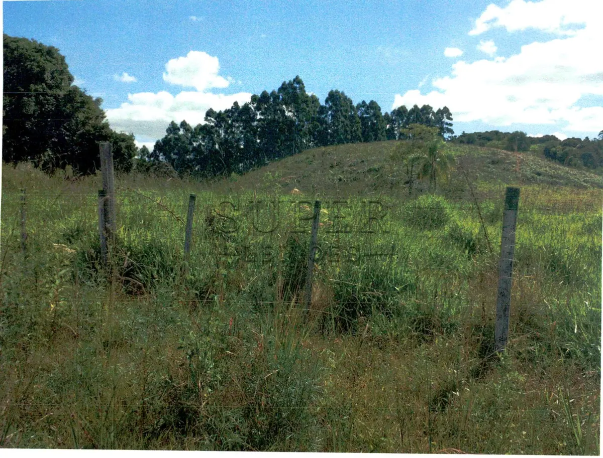 LOTE 001 - UMA FRAÇÃO DE TERRAS DE 557.500m² COM UMA FLORESTA DE EUCALIPTO DE MAIS DE 16 ANOS  EM LAGOA BONITA DO SUL/RS