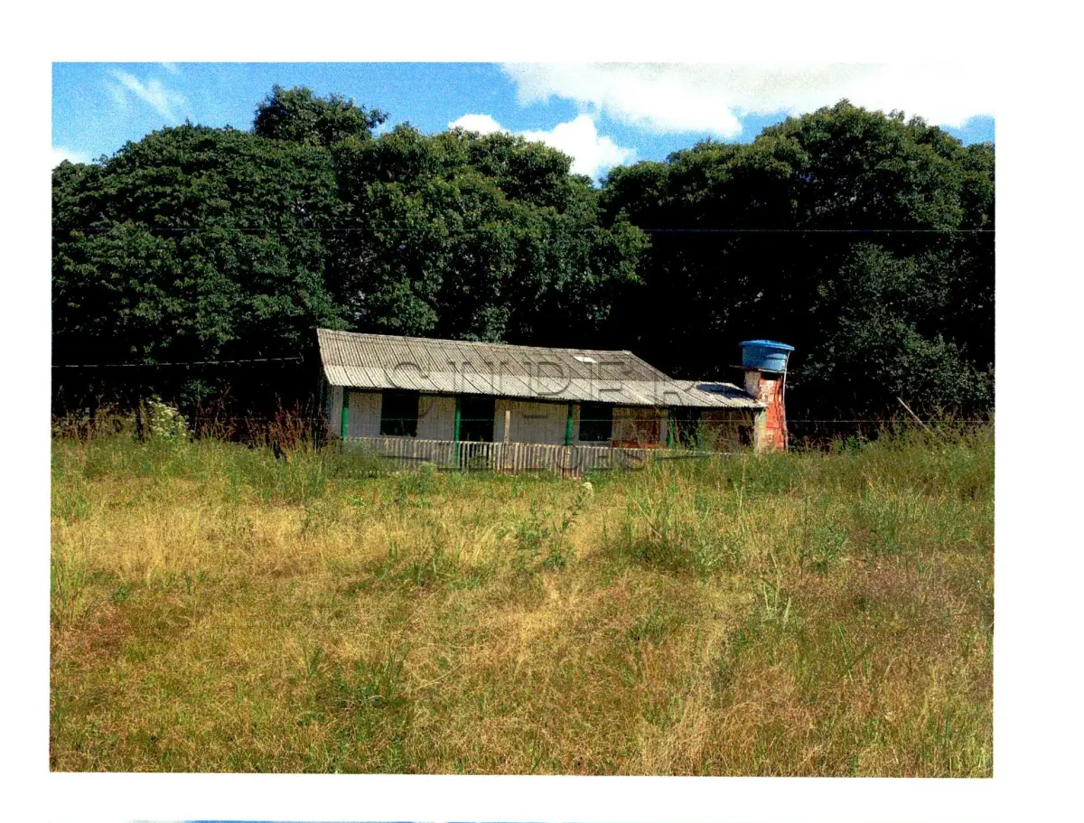 LOTE 001 - UMA FRAÇÃO DE TERRAS DE 557.500m² COM UMA FLORESTA DE EUCALIPTO DE MAIS DE 16 ANOS  EM LAGOA BONITA DO SUL/RS