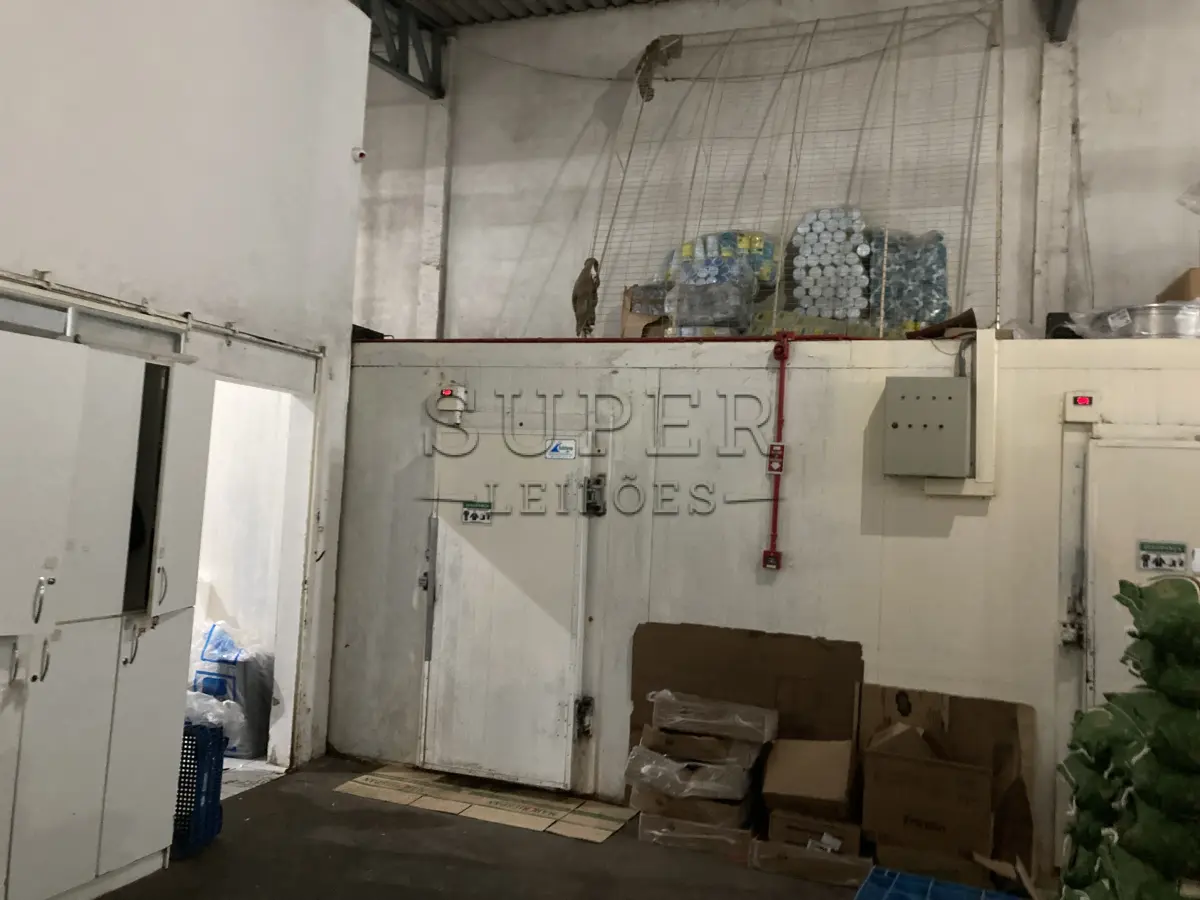 LOTE 001