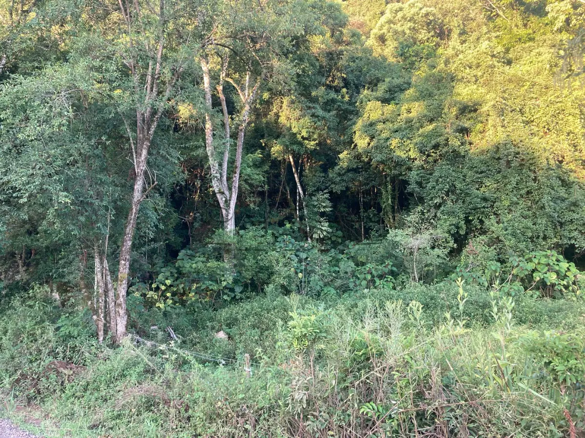 LOTE 001
