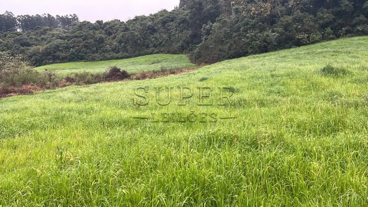 LOTE 006