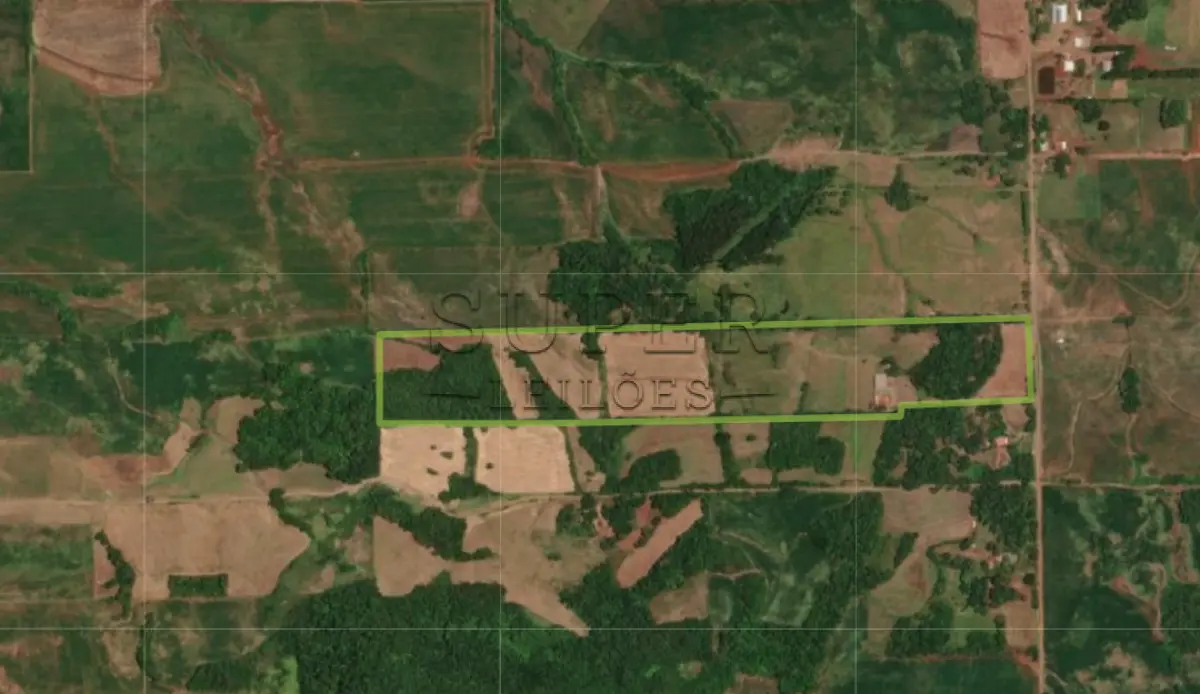 LOTE 006 - LOTE 01: IMÓVEL RURAL com área de 125.000m², om uma casa de madeira,  Linha 1º de Março, da 4ª Secção da região Campina, da Colônia Guarani, sito no município de Porto Lucena/RS