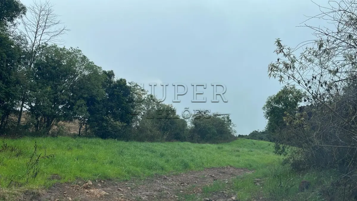 LOTE 006 - Área de terra 3HA, Situada na Localidade de Alto da Serra, Município de Lagoão/RS