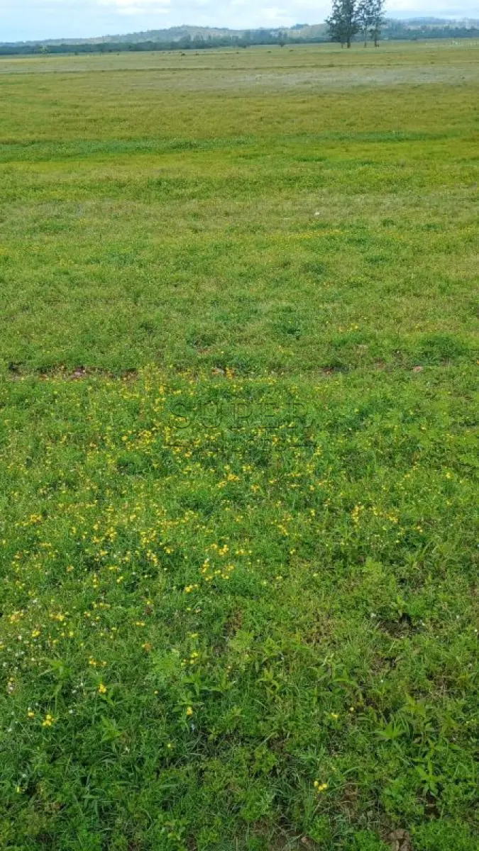 LOTE 013 - Área de 67.770,00m², Rincão Nossa Senhora Aparecida, Segredo/RS