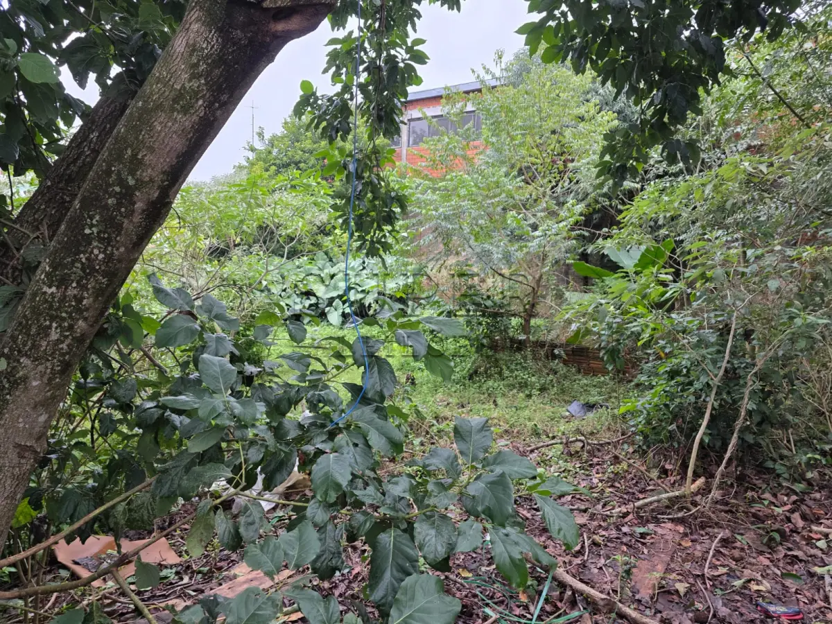 LOTE 000 - UM PRÉDIO DE ALVENARIA, constituído de um salão para fins comerciais, a Rua Ivo Becker, sob número 85,  Cachoeira do Sul/RS