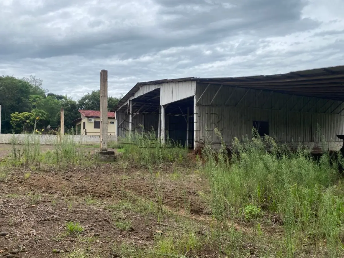 LOTE 006 - LOTE 01: IMÓVEL RURAL com área de 125.000m², om uma casa de madeira,  Linha 1º de Março, da 4ª Secção da região Campina, da Colônia Guarani, sito no município de Porto Lucena/RS