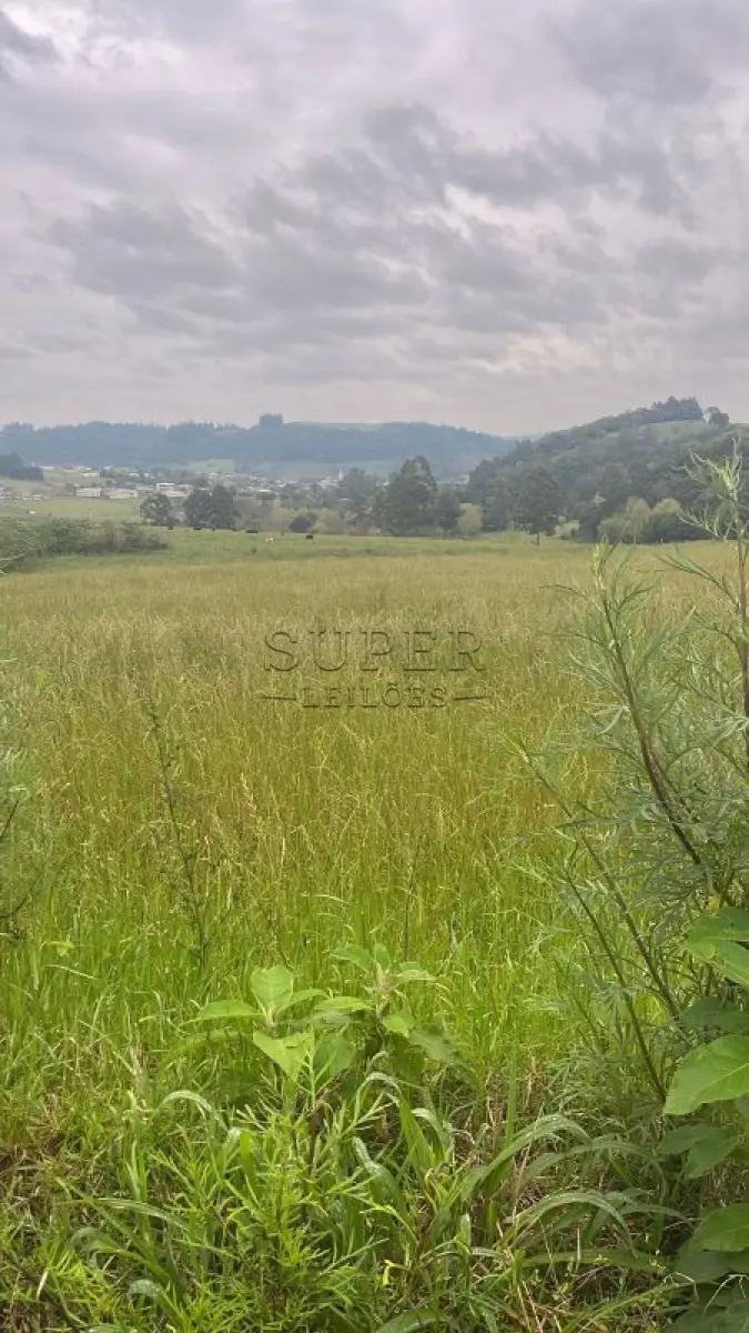 LOTE 001 - Uma fração de terras de 16.830,00m², situada em Carazinho - Alto Socorro, no Município de Lagoão/RS