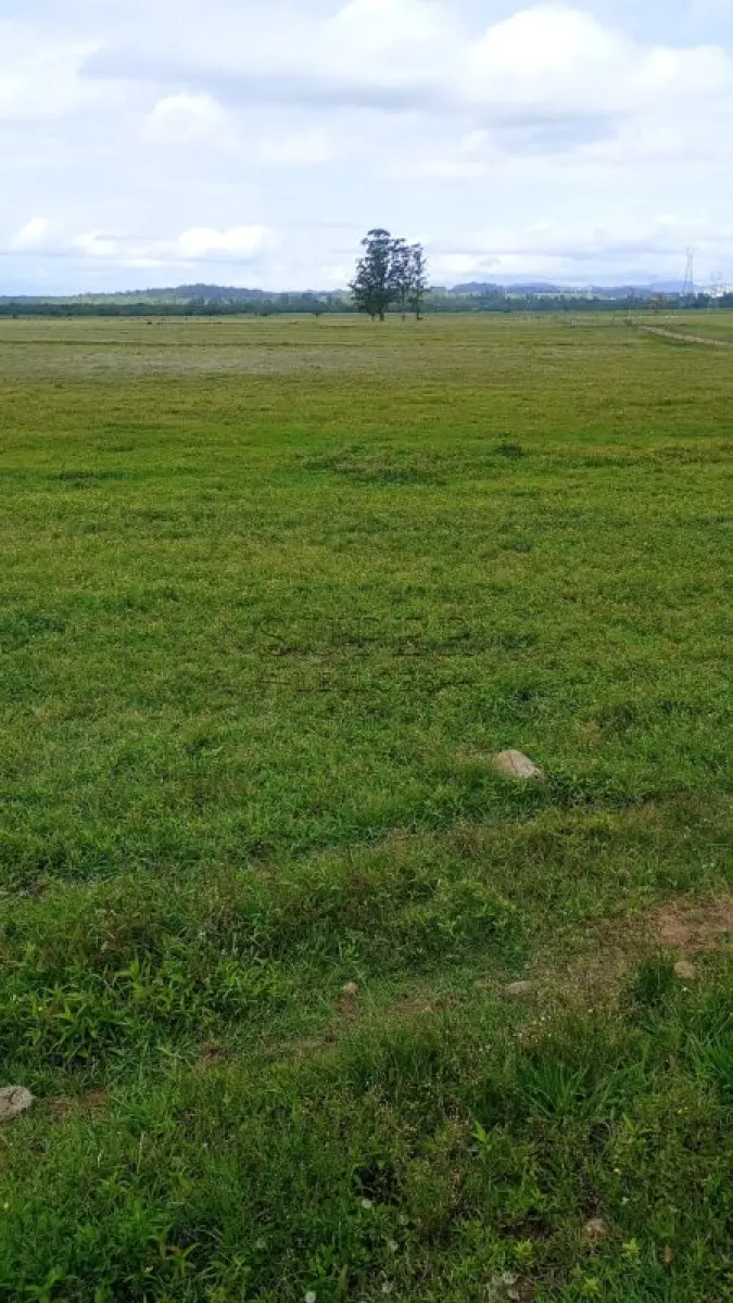 LOTE 013 - Área de 67.770,00m², Rincão Nossa Senhora Aparecida, Segredo/RS