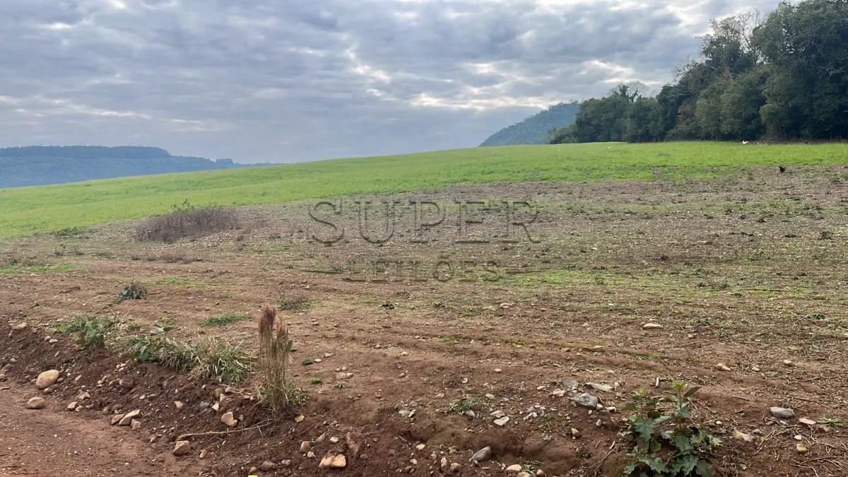 LOTE 008 - 50% de uma Fração de Terra, sem benfeitorias, com área de 127.936,59m², na linha Umbu, munícipio de Sobradinho/RS