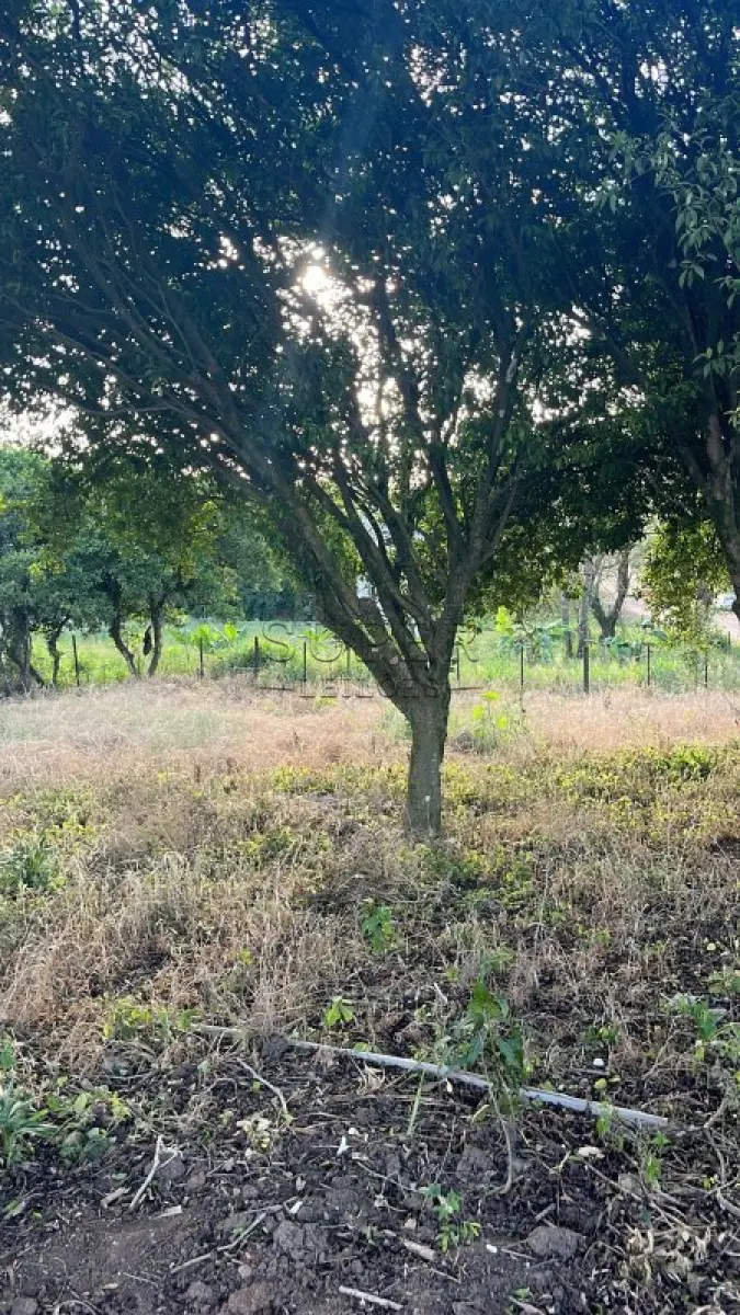 LOTE 002 - 50%, de um imóvel rural com área total de 7 ha 8.641,40 m², idade de Contenda, município de Paraíso do Sul/RS