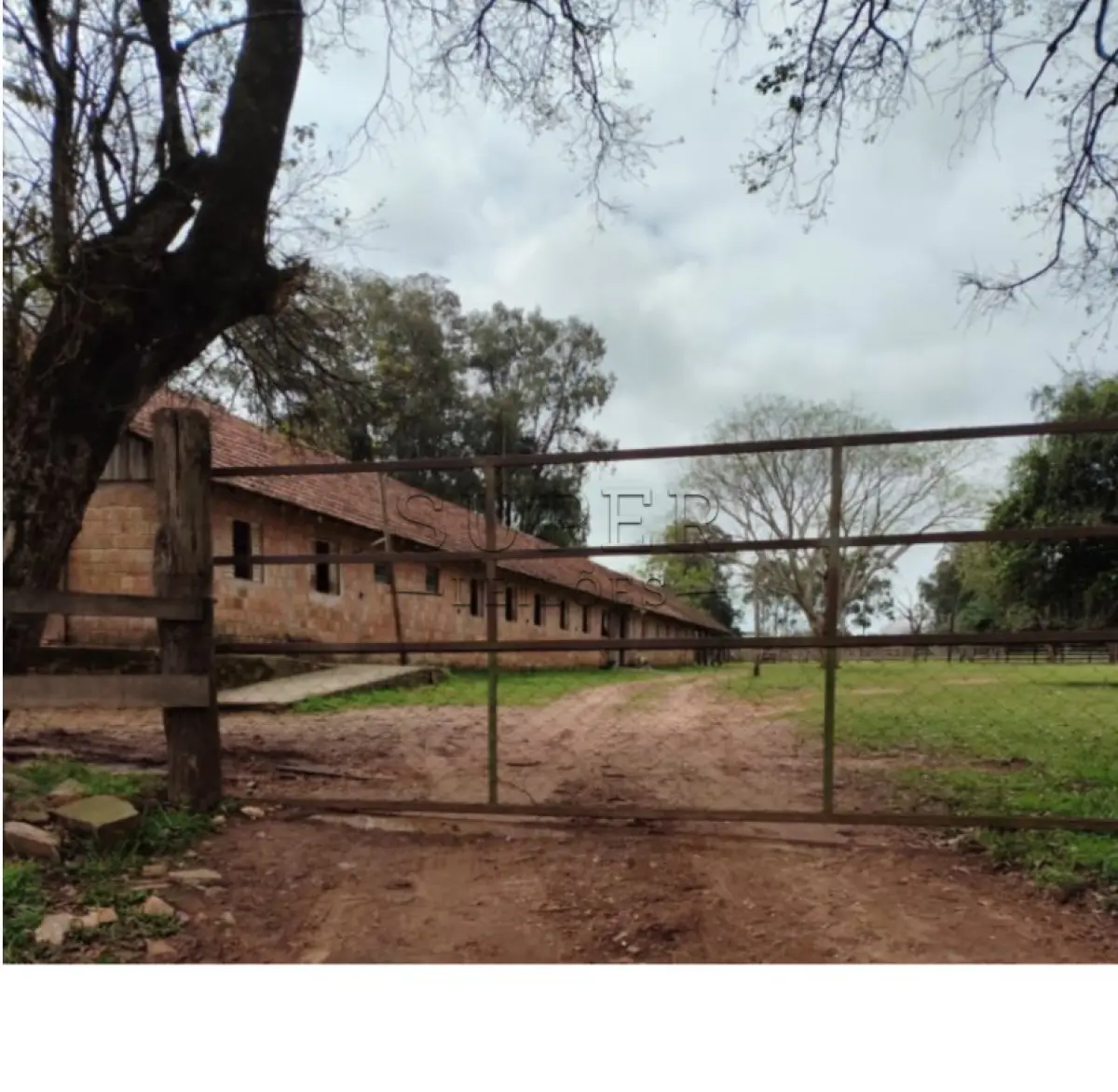 LOTE 0002 - Uma fração de terras com área superficial de 3ha5.000m², situada no Distrito de Ferreira, lugar denominado Passo da Areia, município de Cachoeira do Sul/RS, matriculada sob nº 20.768