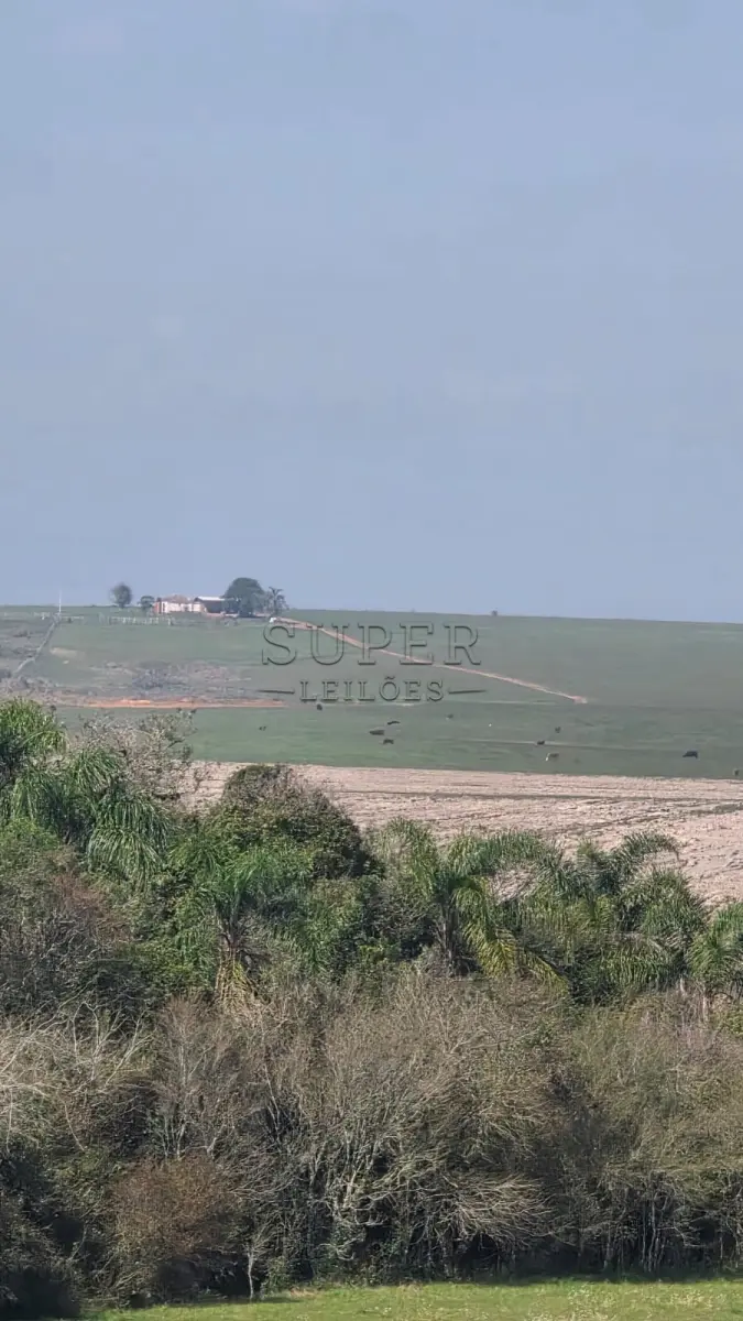 LOTE 0001 - LOTE 01: Fração de terras de 18ha4.374m² abrangida por uma área maior de 77,9175ha, matrícula 45.656 situado no distrito Barro Vermelho em localidade denominada Rincão da Cria, na zona rural de Cachoeira do Sul/RS