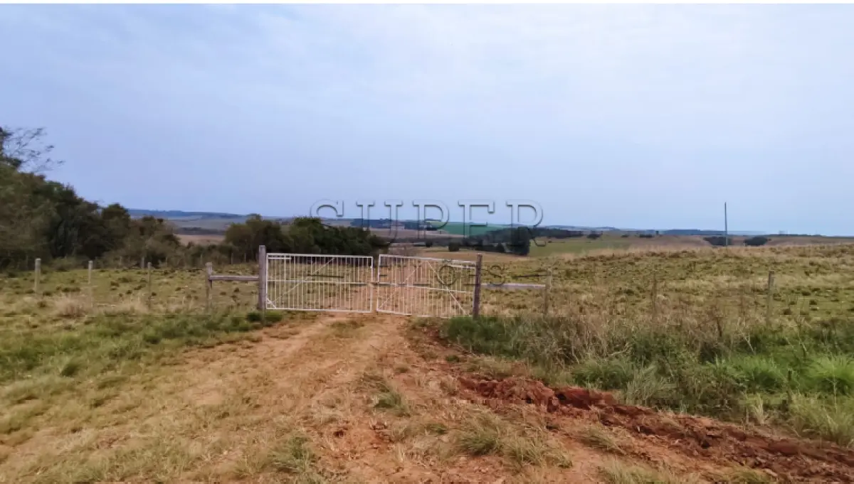 LOTE 0002 - LOTE 02: Uma fração de terras de campos, matos e demais benfeitorias, com extensão superficial de 41ha60a, matrícula 10.942, Distrito de Manoel Viana/RS
