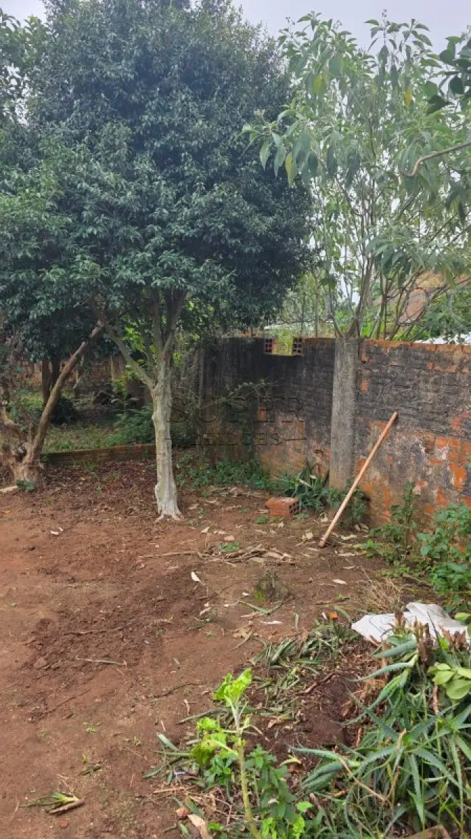 LOTE 001 - Um imóvel registrado sob a matrícula nº 2157 no Registro de Imóveis de Cachoeira do Sul/RS