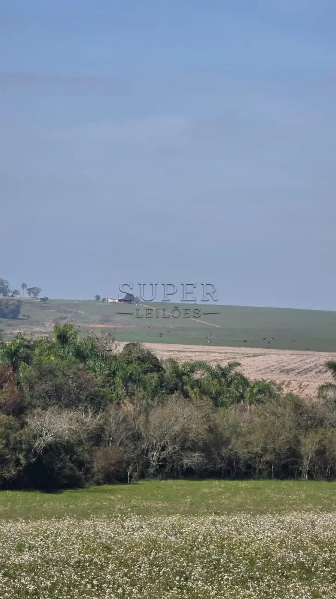 LOTE 0001 - LOTE 01: Fração de terras de 18ha4.374m² abrangida por uma área maior de 77,9175ha, matrícula 45.656 situado no distrito Barro Vermelho em localidade denominada Rincão da Cria, na zona rural de Cachoeira do Sul/RS