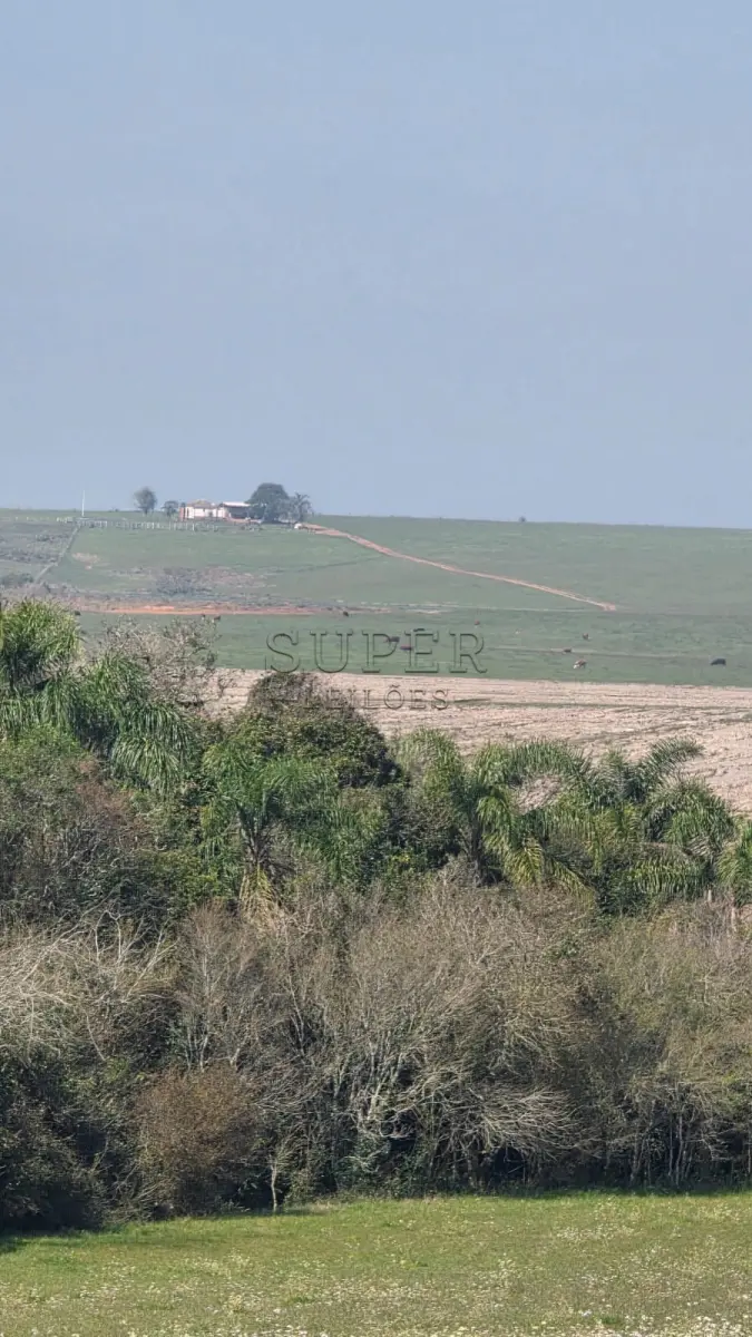 LOTE 0002 - LOTE 02:  Fração de terras de 6ha1.457 m² abrangida por uma área maior de 77,9175ha, matrícula 45.657 situado no distrito Barro Vermelho em localidade denominada Rincão da Cria, na zona rural de Cachoeira do Sul/RS