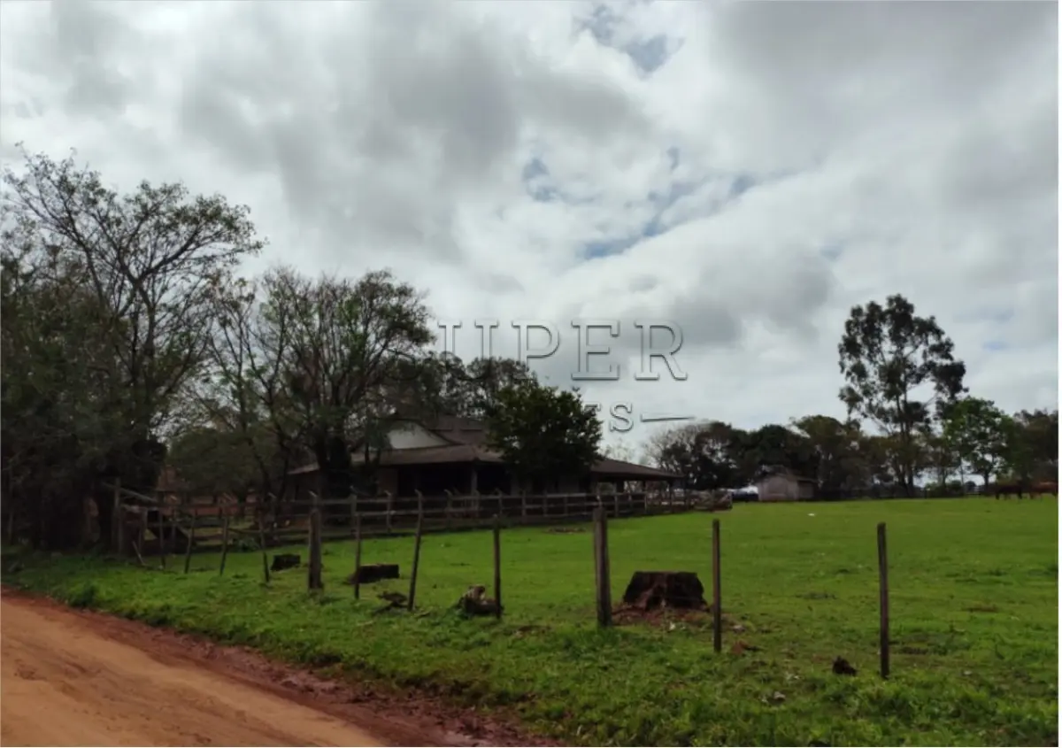 LOTE 0002 - Uma fração de terras com área superficial de 3ha5.000m², situada no Distrito de Ferreira, lugar denominado Passo da Areia, município de Cachoeira do Sul/RS, matriculada sob nº 20.768