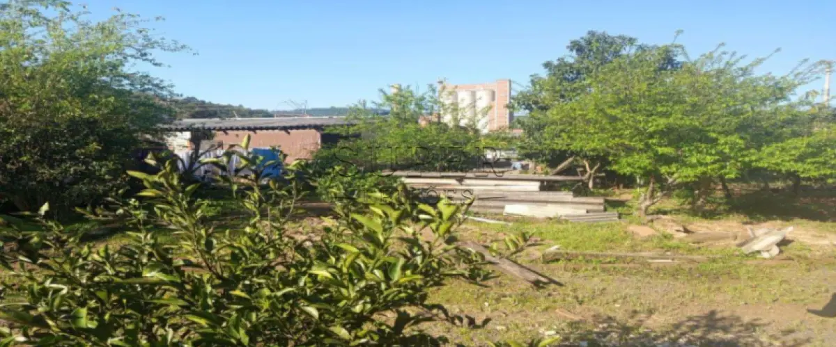 LOTE 002 - UM IMÓVEL URBANO, com benfeitorias não averbadas, com a área de 1.302,00m², Av. Presidente Tancredo Neves n 14.709, bairro Rothmann no município de Igrejinha/RS, sob matrícula nº 3907 do CRI de Igrejinha/RS