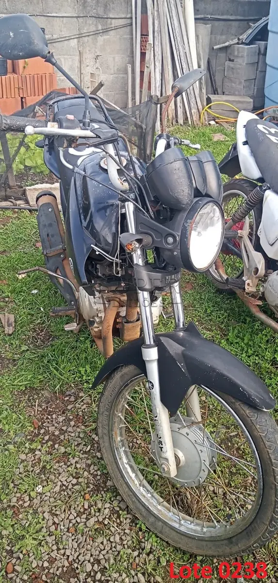 LOTE 0238