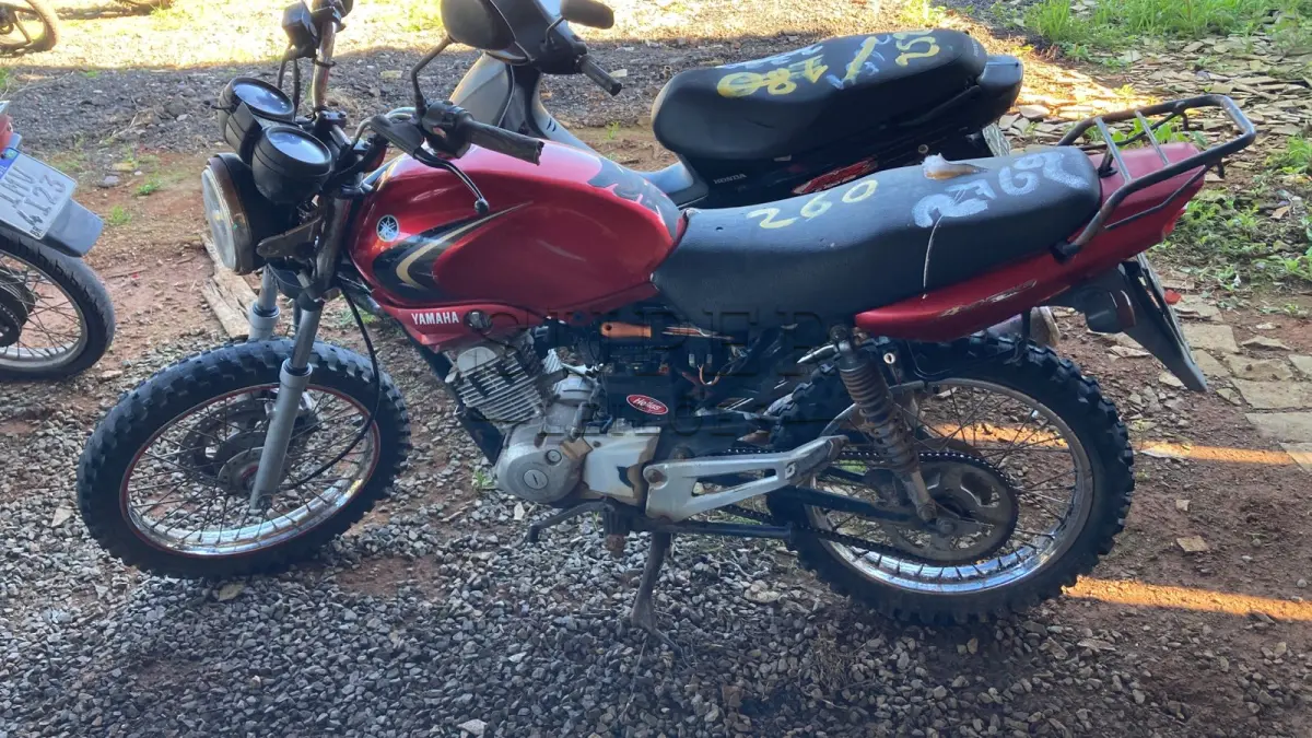 LOTE 0260
