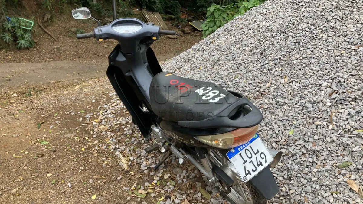 LOTE 0125