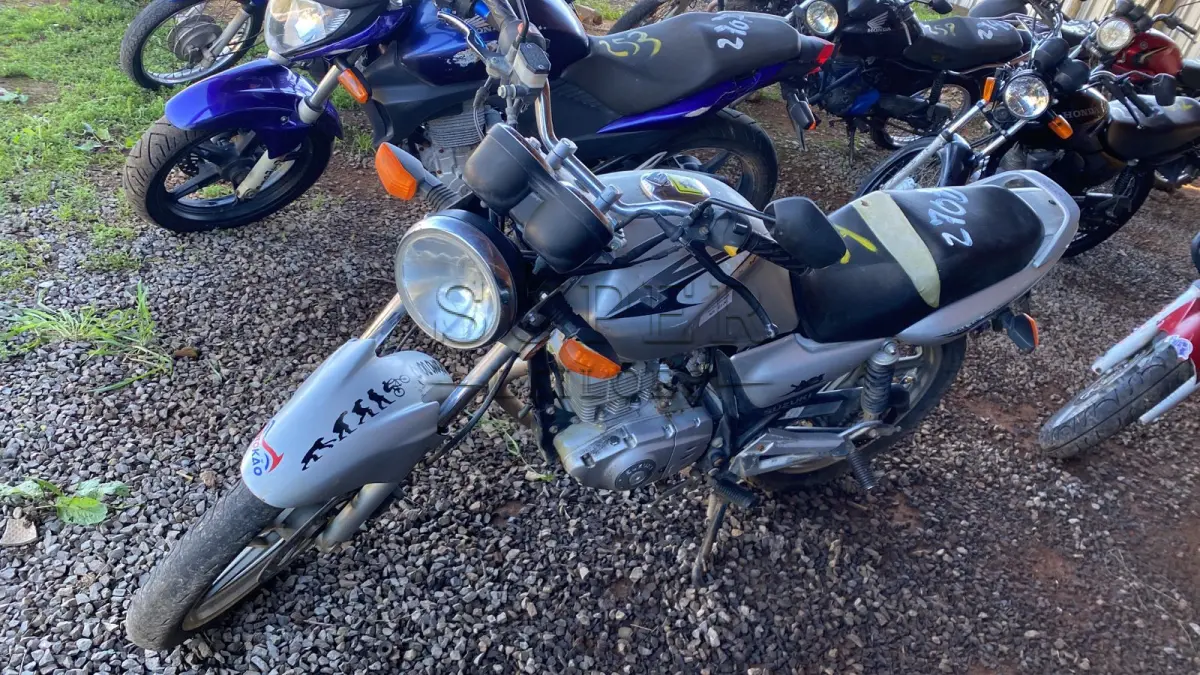 LOTE 0254