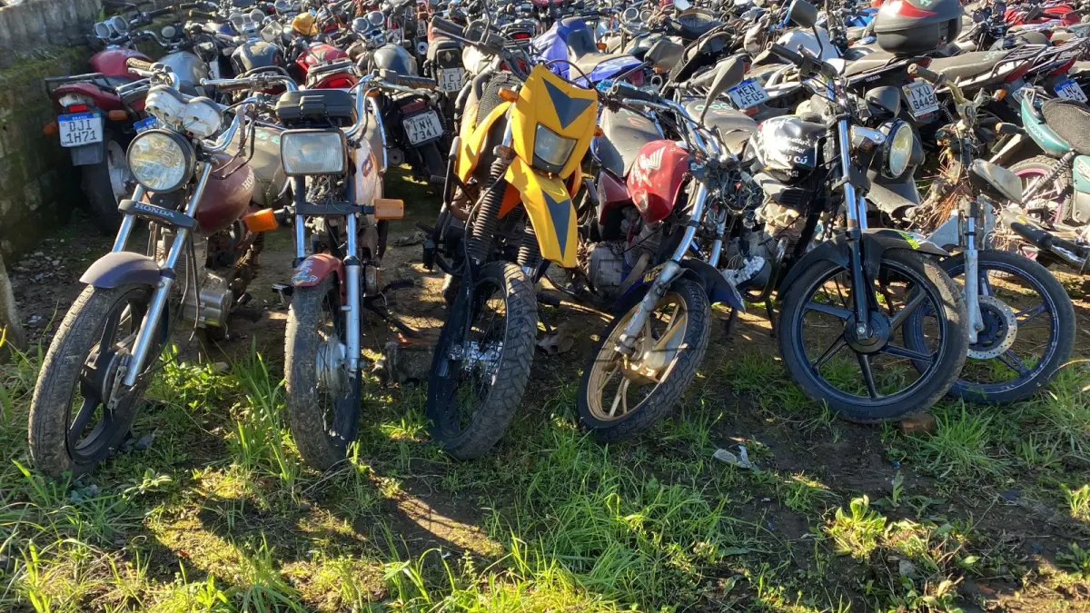 LOTE 0003