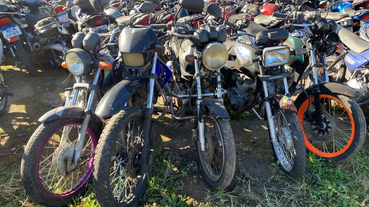 LOTE 0002