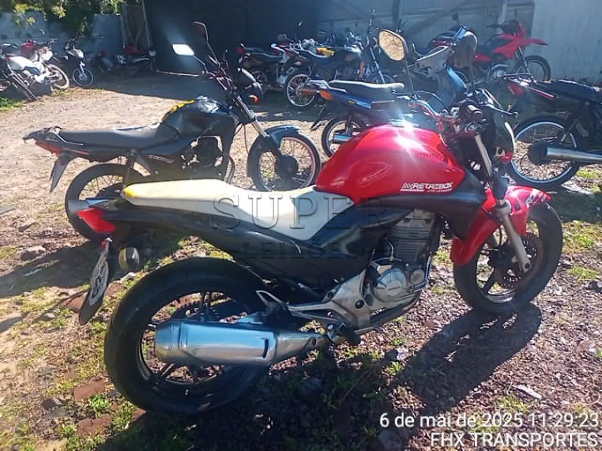 LOTE 0151