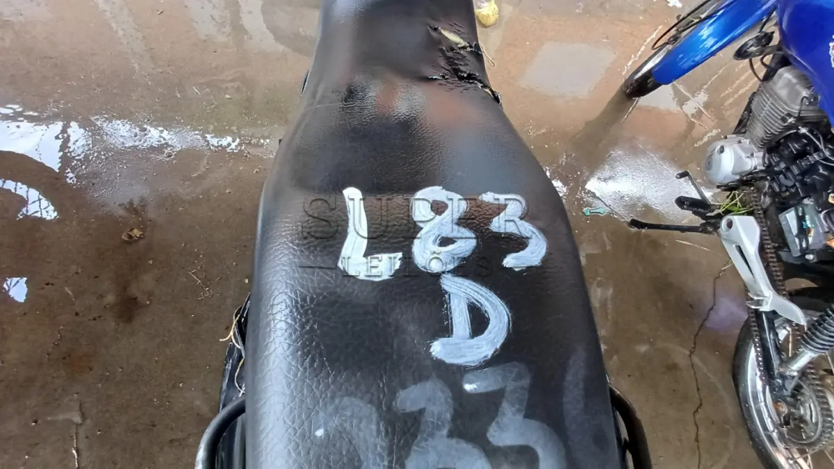 LOTE 0083