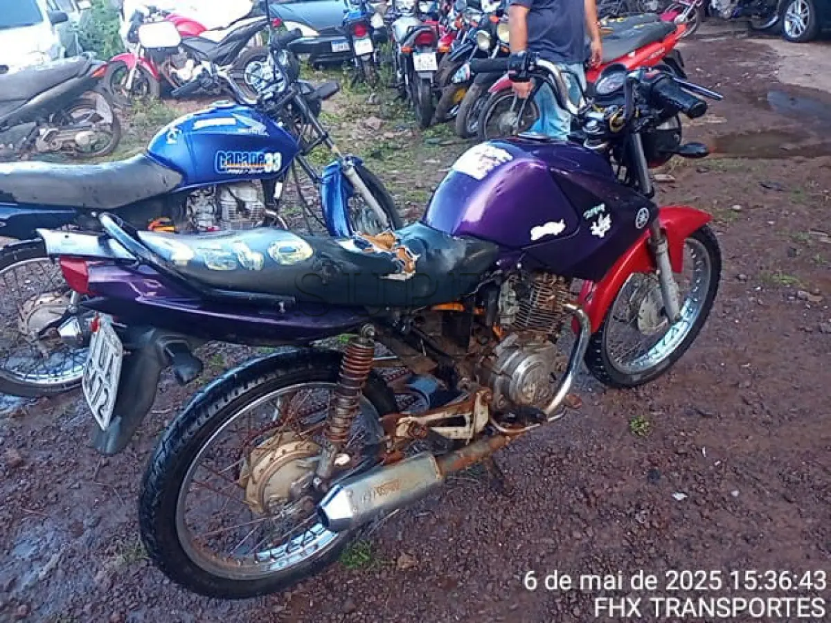 LOTE 0176