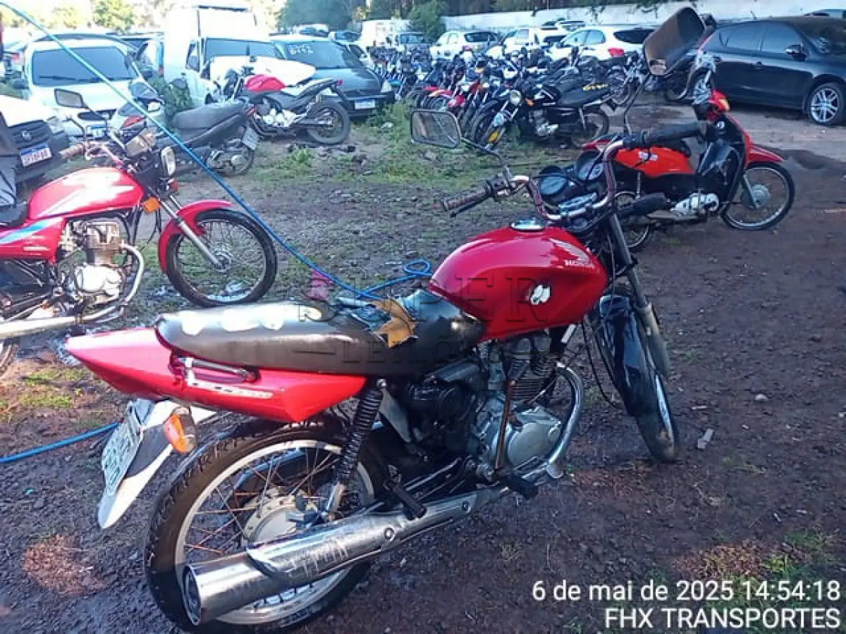 LOTE 0171