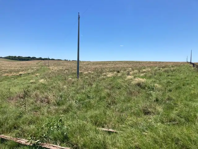 Área de 7ha66a,  5º Distrito, Capão da Laranjeira em São Francisco de Assis/RS
