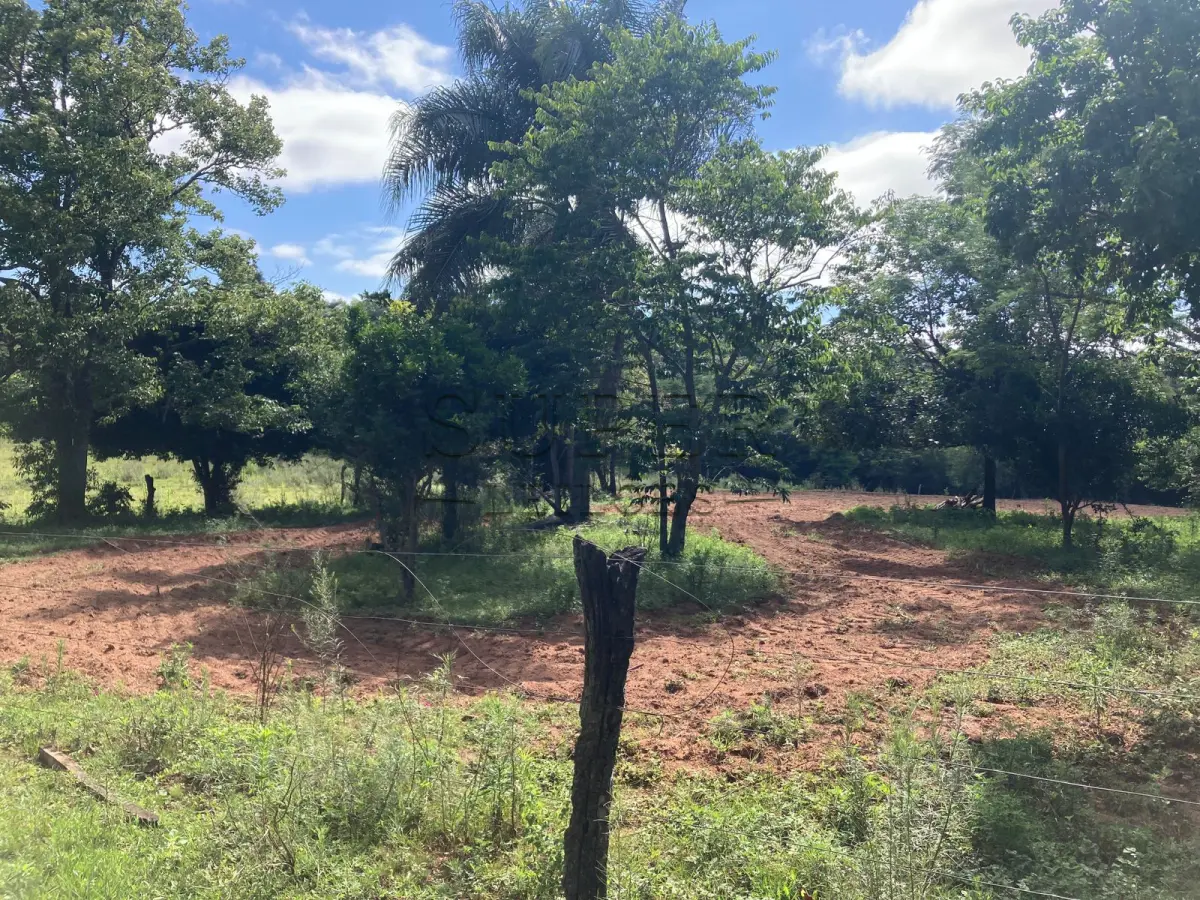 LOTE 001 - ÁREA DE  5ha7435m², localidade Picada do Padre, 1º Distrito de São Francisco de Assis/RS