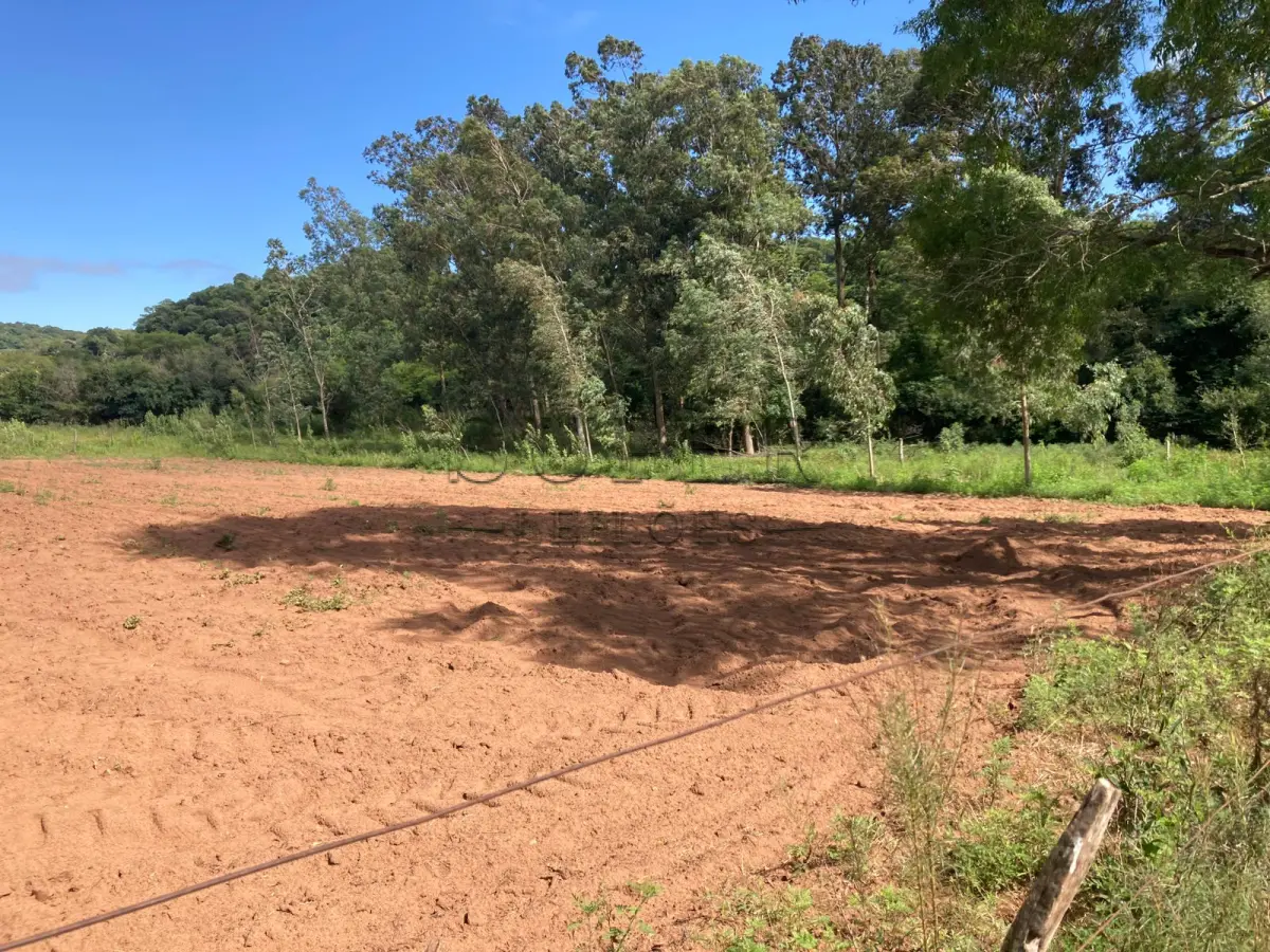 LOTE 001 - ÁREA DE  5ha7435m², localidade Picada do Padre, 1º Distrito de São Francisco de Assis/RS