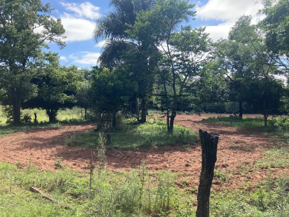 LOTE 001 - ÁREA DE  5ha7435m², localidade Picada do Padre, 1º Distrito de São Francisco de Assis/RS
