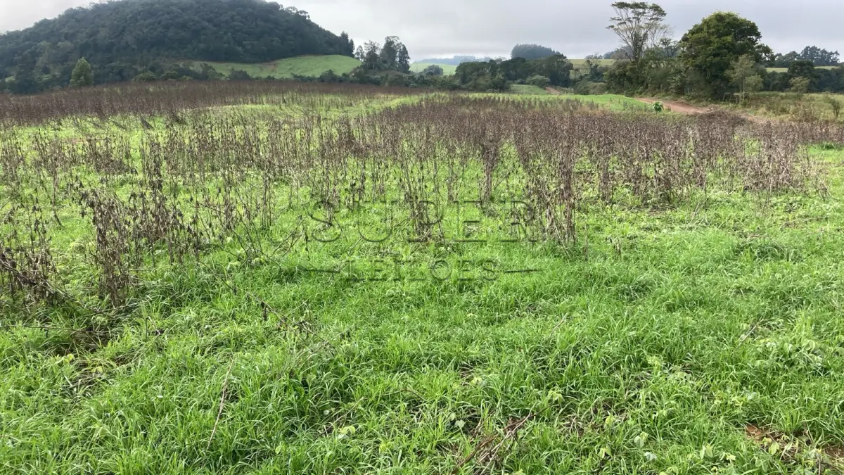 LOTE 002 - UMA FRAÇÃO DE TERRAS COM ÁREA DE 7,5 HECTARES