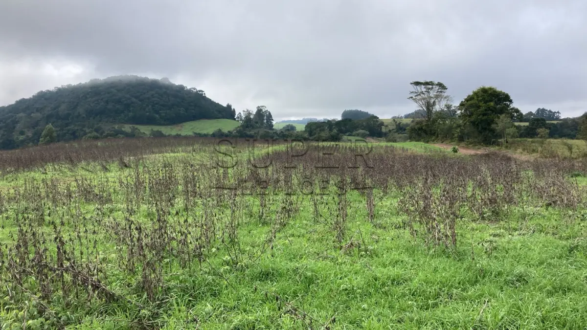 LOTE 002 - UMA FRAÇÃO DE TERRAS COM ÁREA DE 7,5 HECTARES