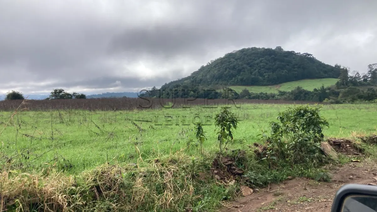 LOTE 002 - UMA FRAÇÃO DE TERRAS COM ÁREA DE 7,5 HECTARES