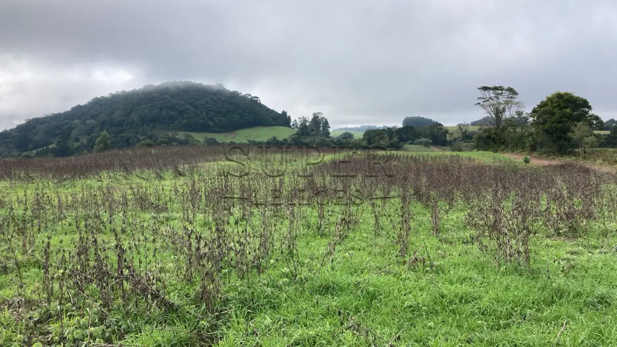 LOTE 002 - UMA FRAÇÃO DE TERRAS COM ÁREA DE 7,5 HECTARES