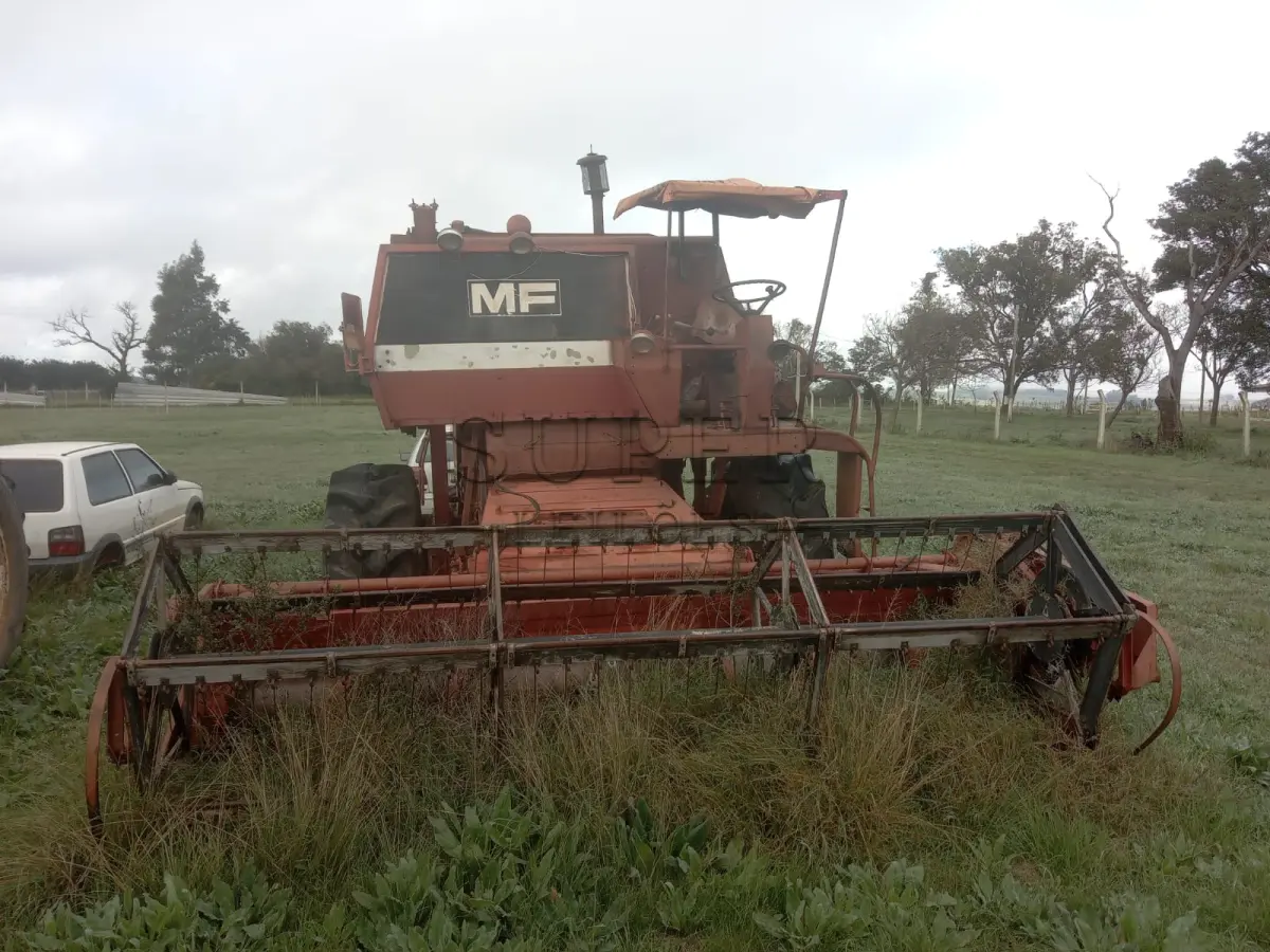 LOTE 001 - Colheitadeira Massey Ferguson 3640,  tracionada, ano 1984/1985.