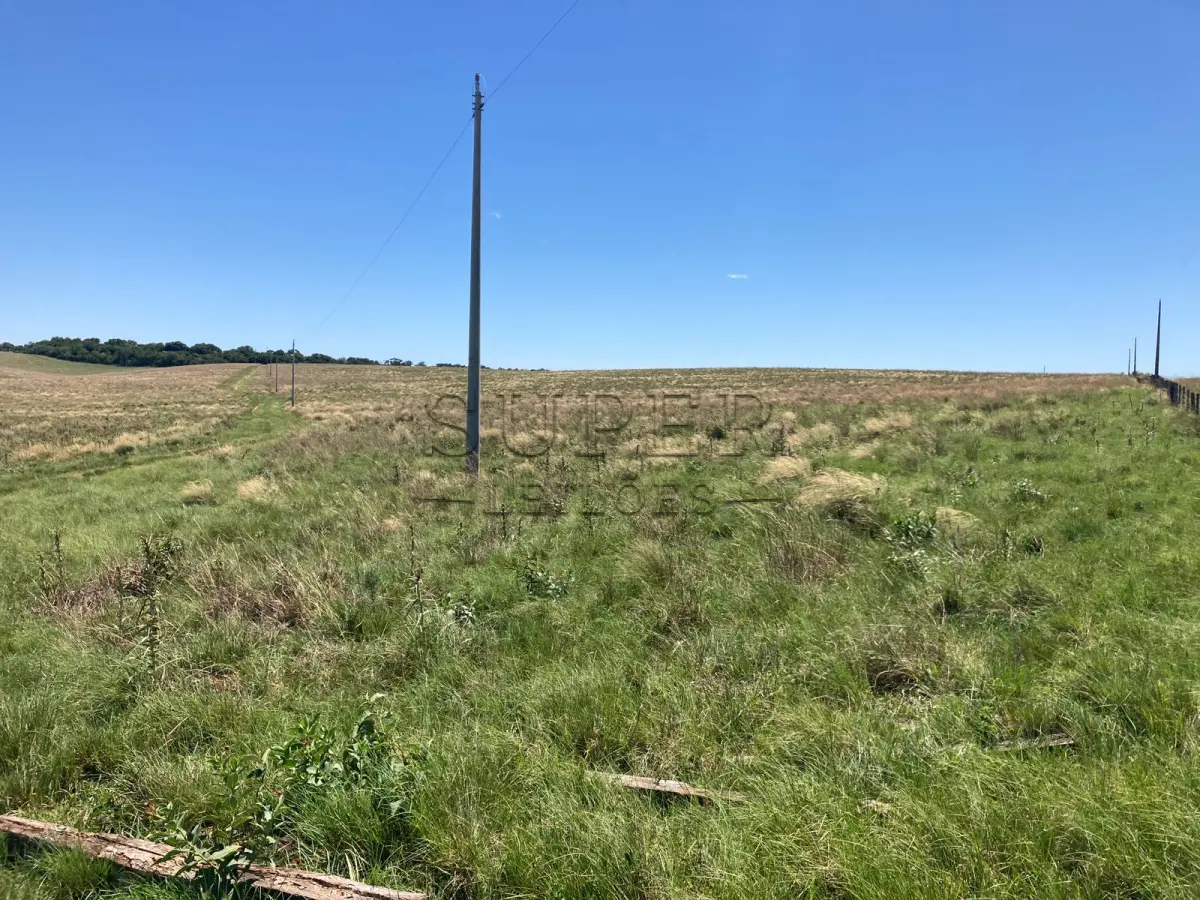 LOTE 001 - ÁREA DE  7ha66a, dentro de área maior no 5ª distrito, Capão da Laranjeira, São Francisco de Assis/RSa