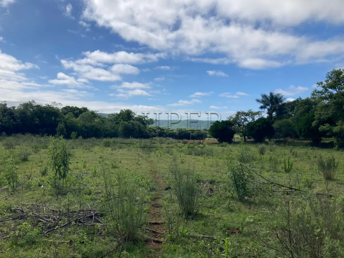 LOTE 001 - ÁREA DE  7ha66a, dentro de área maior no 5ª distrito, Capão da Laranjeira, São Francisco de Assis/RSa