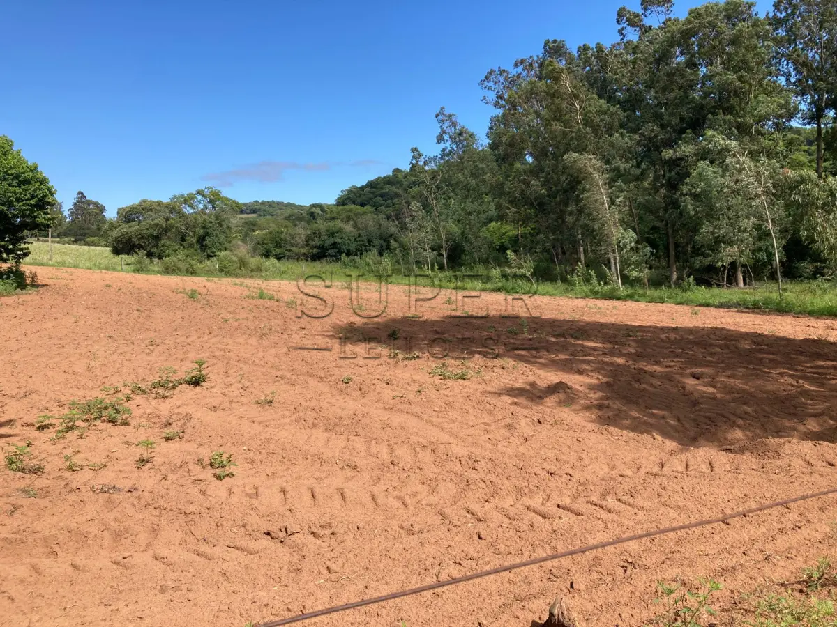 LOTE 001 - ÁREA DE  5ha7435m², localidade Picada do Padre, 1º Distrito de São Francisco de Assis/RS