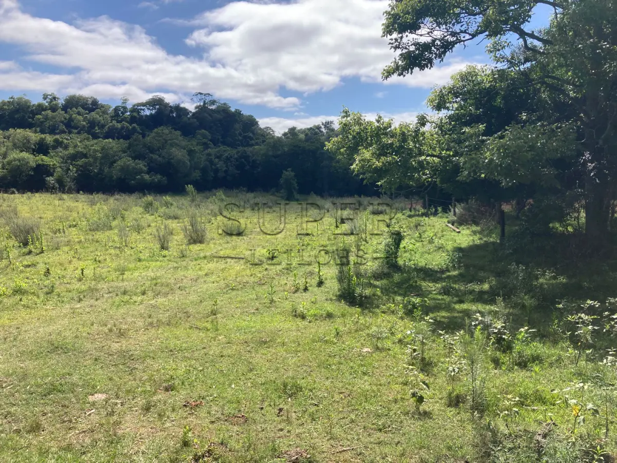 LOTE 001 - ÁREA DE  5ha7435m², localidade Picada do Padre, 1º Distrito de São Francisco de Assis/RS