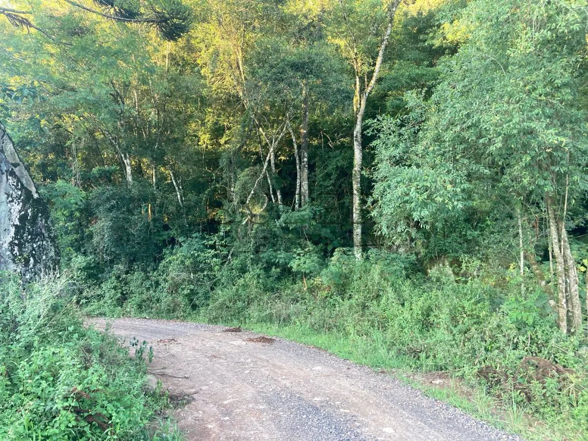 LOTE 001 - 5 Hectares de terras, A 300 metros do Salão Comunitário São Valentin  Lagoão/RS