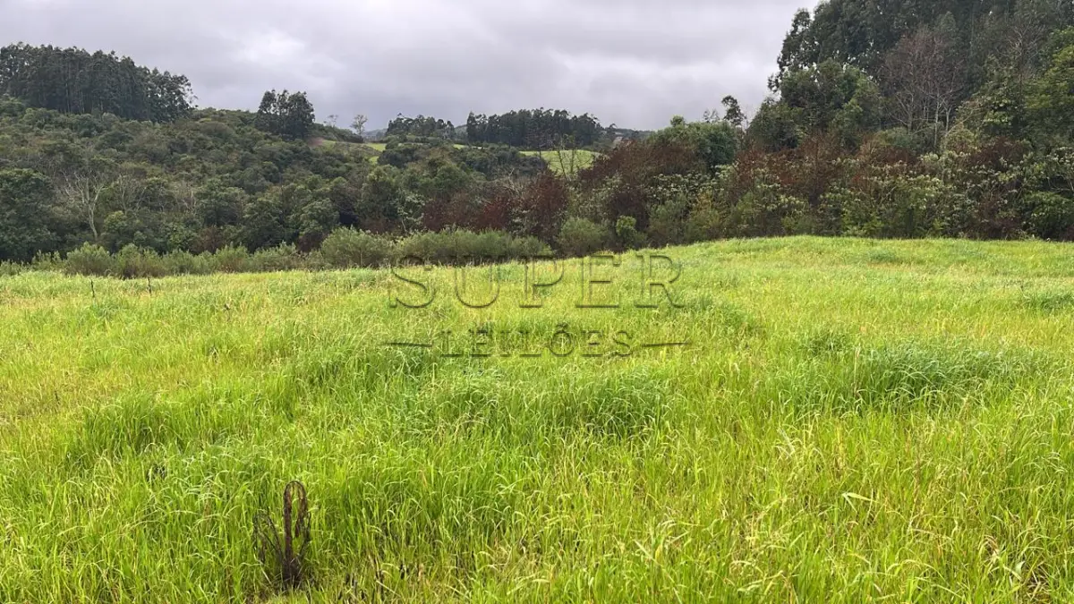 LOTE 006 - Área de terra 3HA, Situada na Localidade de Alto da Serra, Município de Lagoão/RS